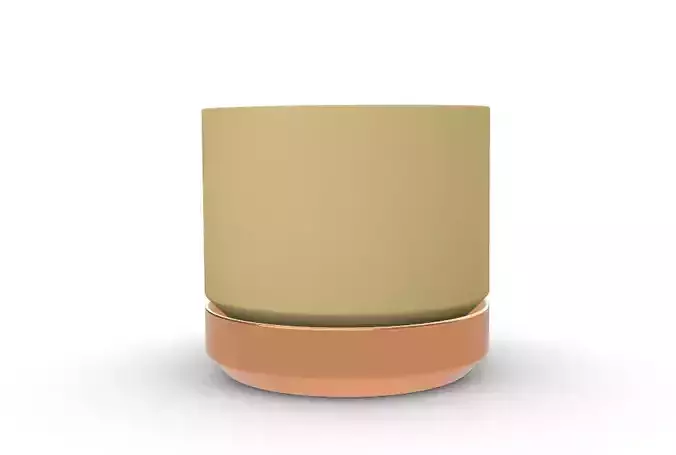 potted succulent and plants 3D print model