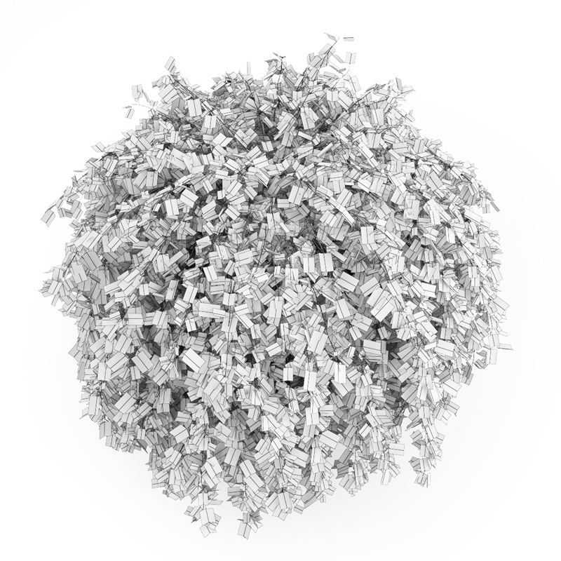 Common Hornbeam 3D model_2