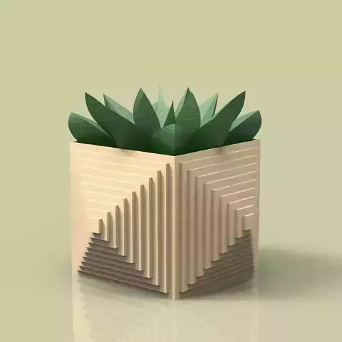 potted succulent and plants