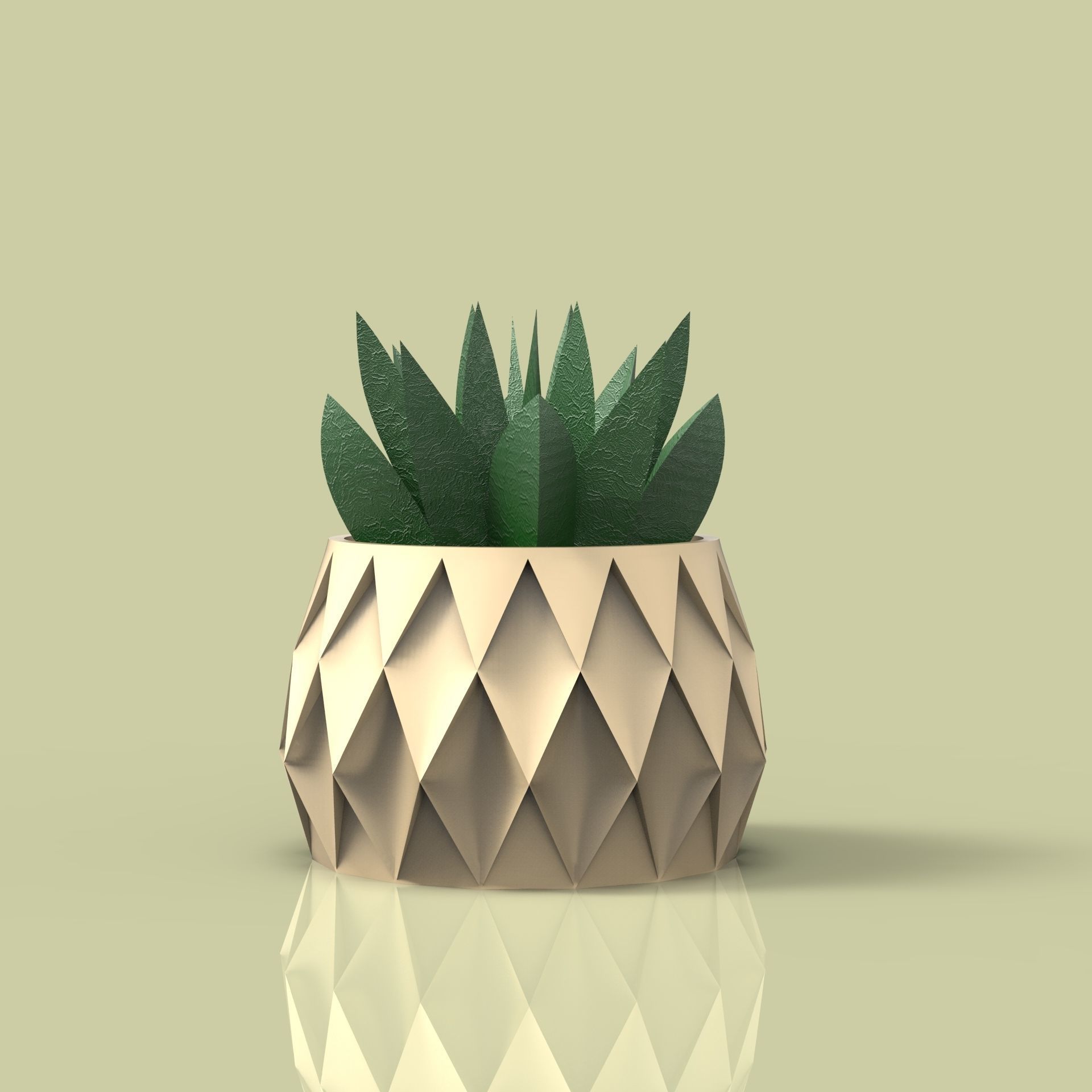 potted succulent and plants 3D print model_1