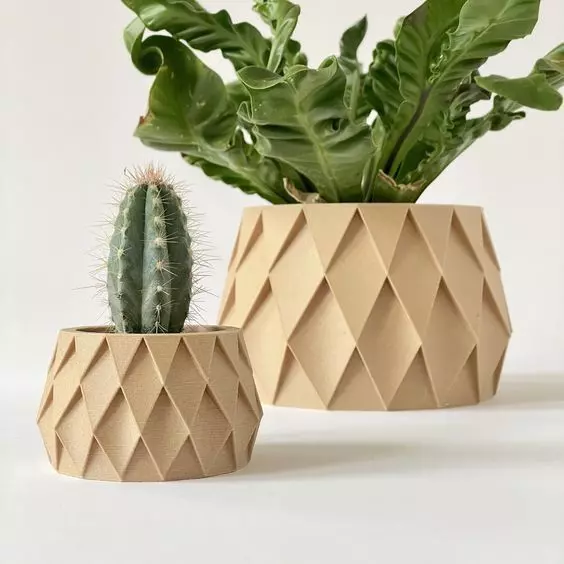 potted succulent and plants 3D print model_0