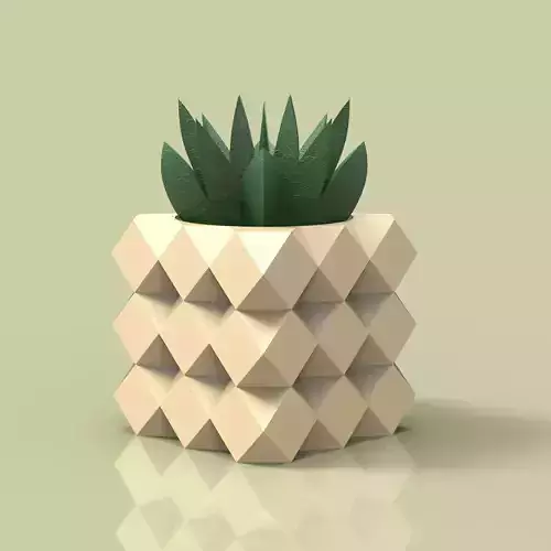 potted succulent and plants 3D print model
