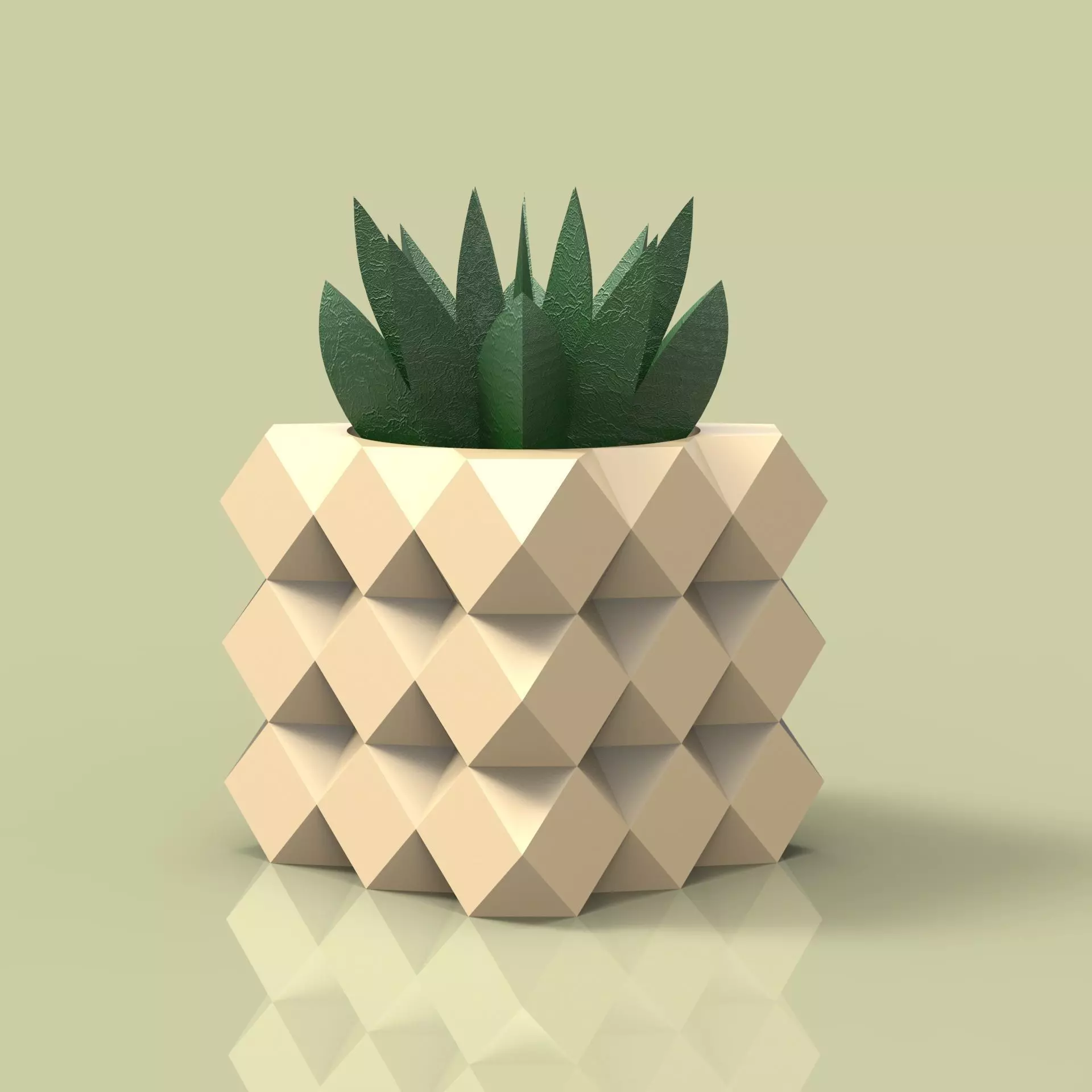 potted succulent and plants 3D print model_0