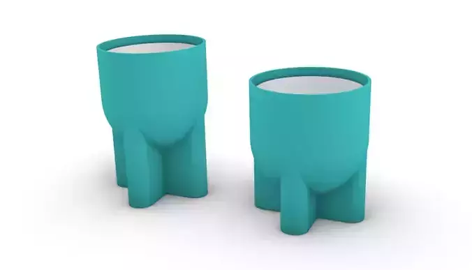 potted succulent and plants