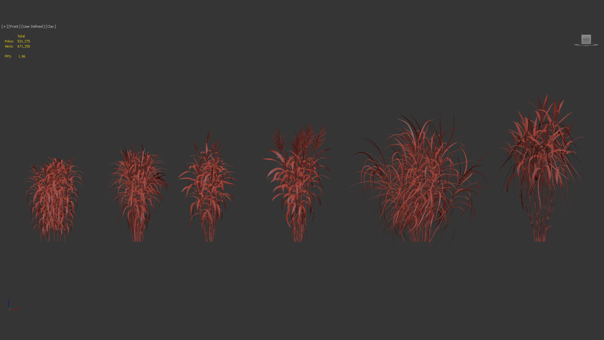 Miscanthus floridulus Giant Miscanthus 3D model_9