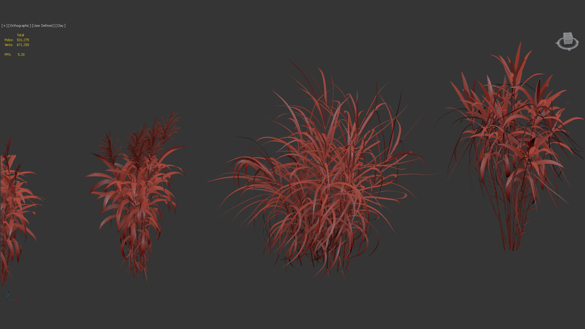 Miscanthus floridulus Giant Miscanthus 3D model_12