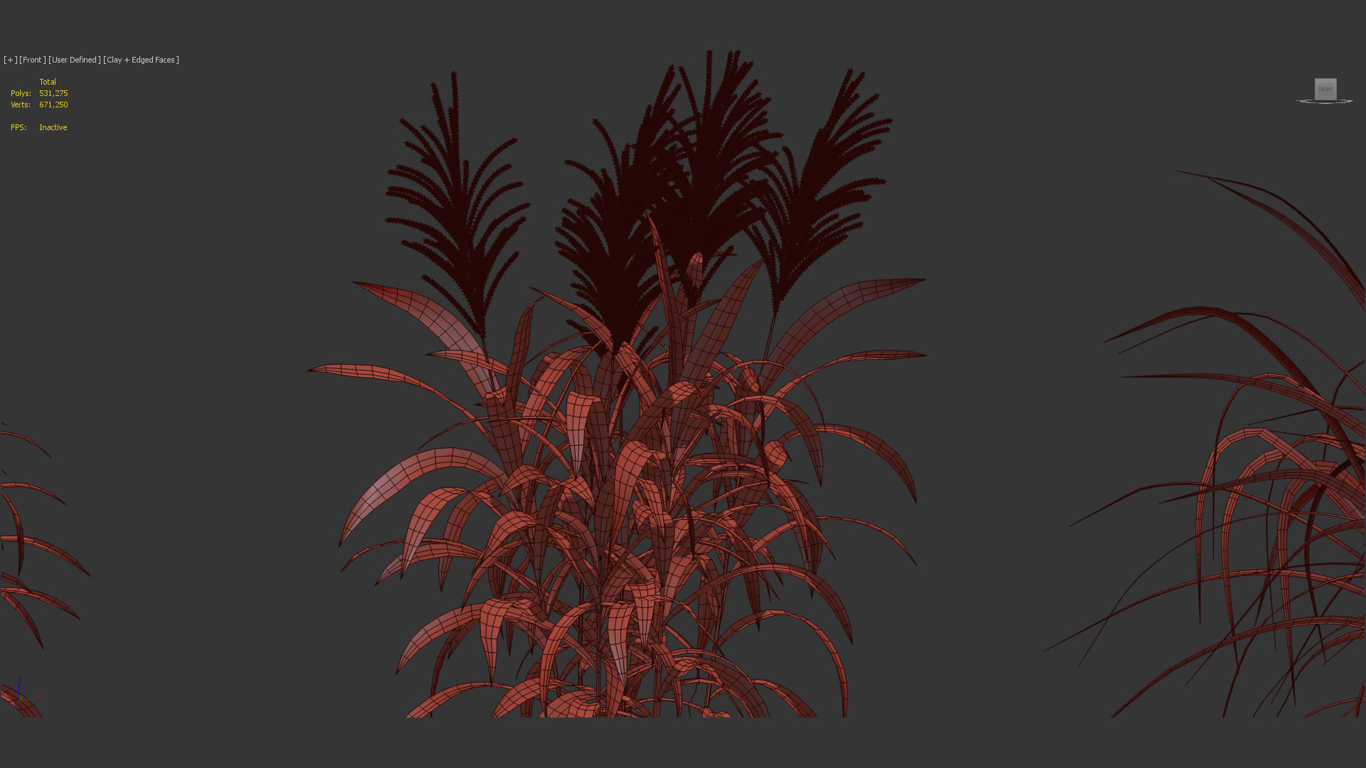 Miscanthus floridulus Giant Miscanthus 3D model_11