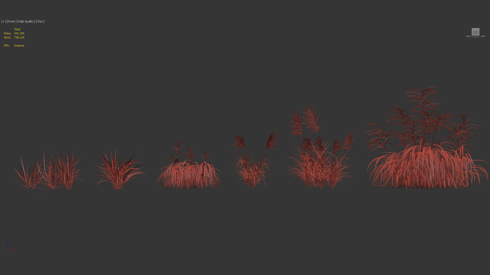 Miscanthus flavidus Miscanthus sinensis 3D model_9