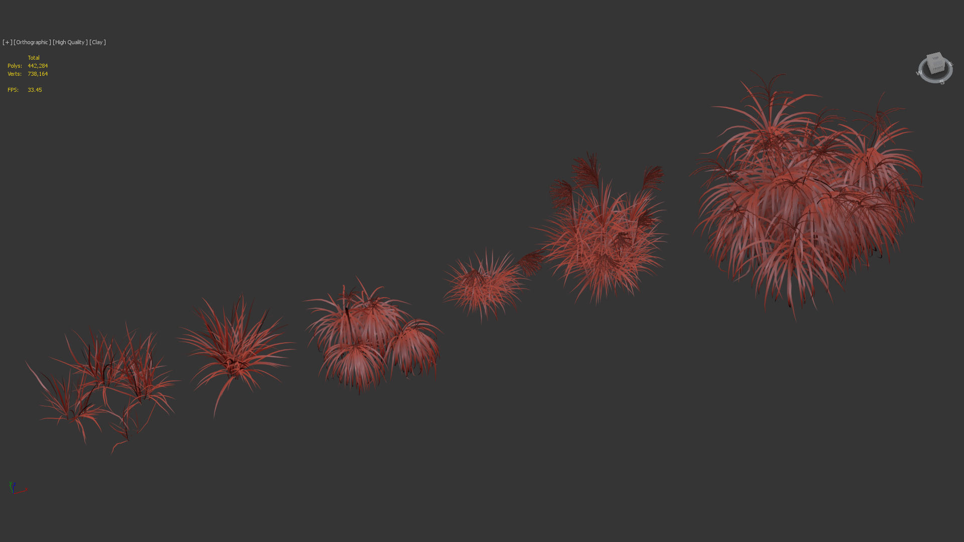 Miscanthus flavidus Miscanthus sinensis 3D model_12