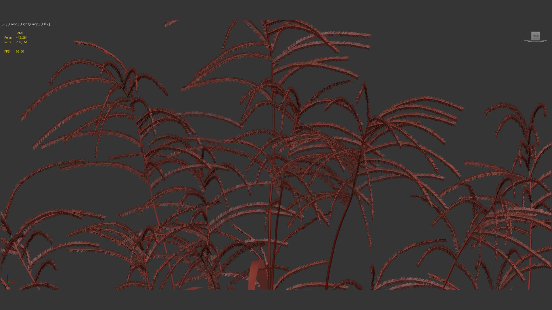 Miscanthus flavidus Miscanthus sinensis 3D model_11