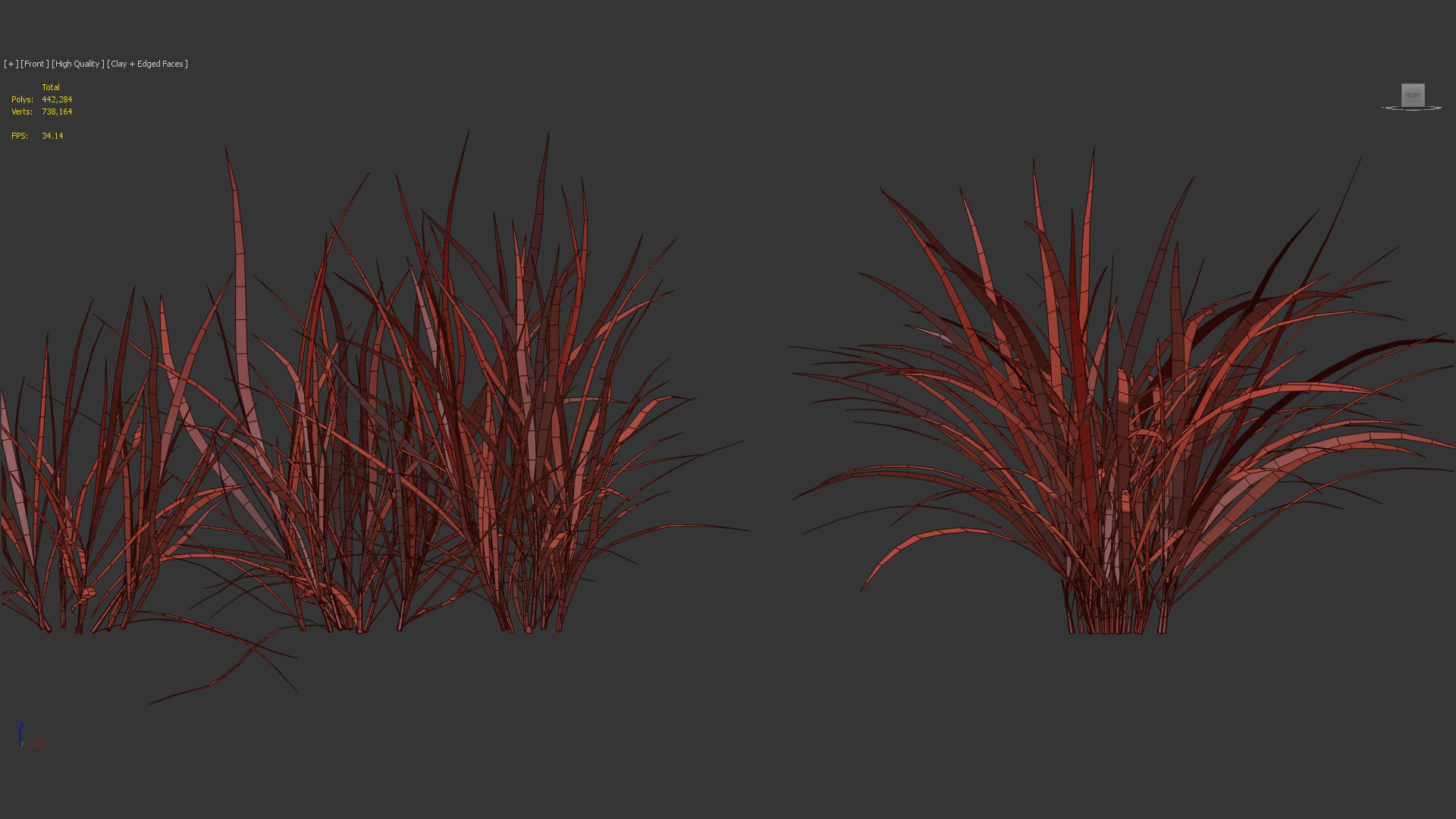 Miscanthus flavidus Miscanthus sinensis 3D model_10