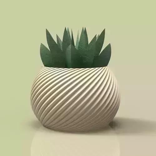 potted succulent and plants