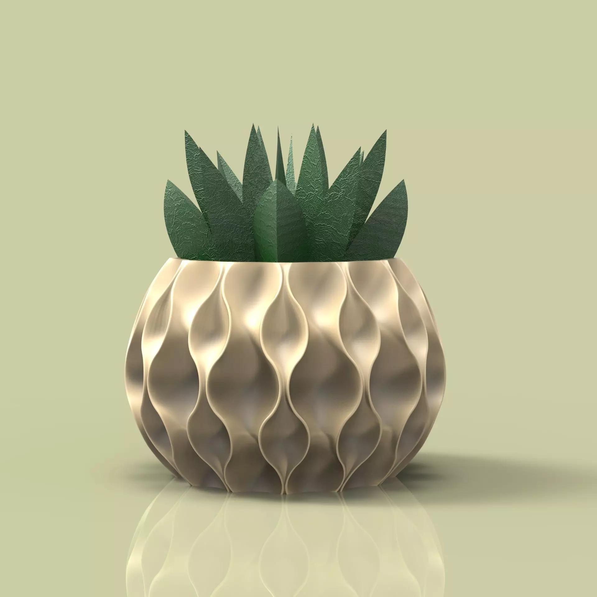 potted succulent and plants 3D print model_0