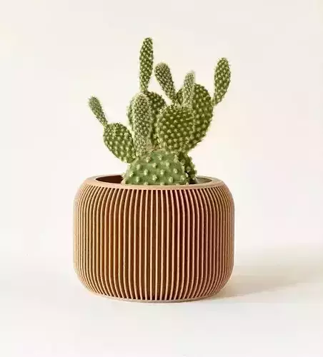 potted succulent and plants 3D print model