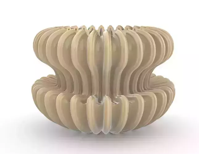 potted succulent and plants