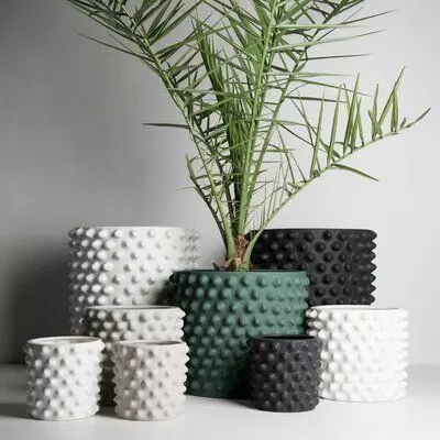 potted succulent and plants 3D print model
