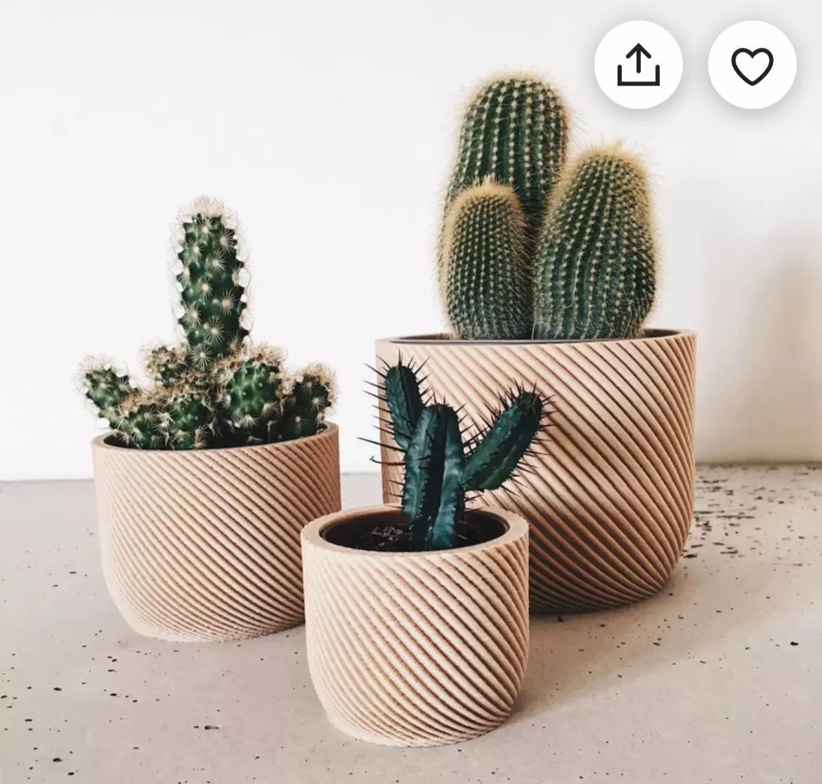 potted succulent and plants 3D print model