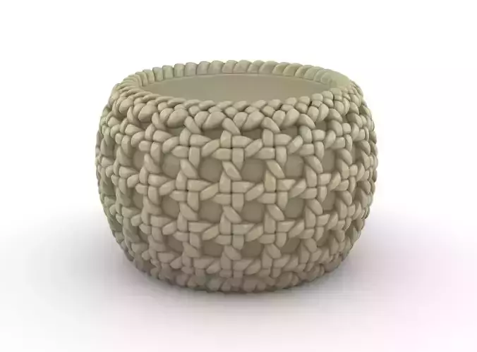 potted succulent and plants