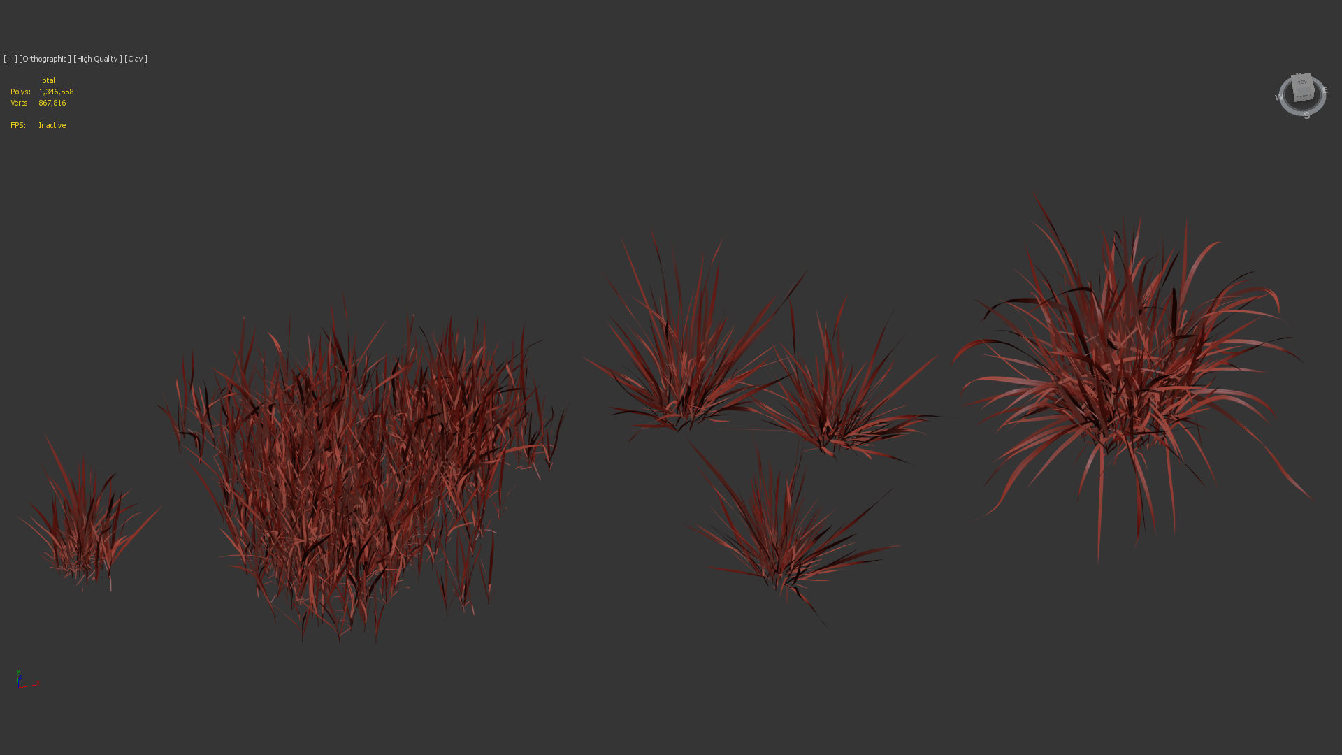 Imperata cylindrical rubra Japanese Bloodgrass 3D model_11
