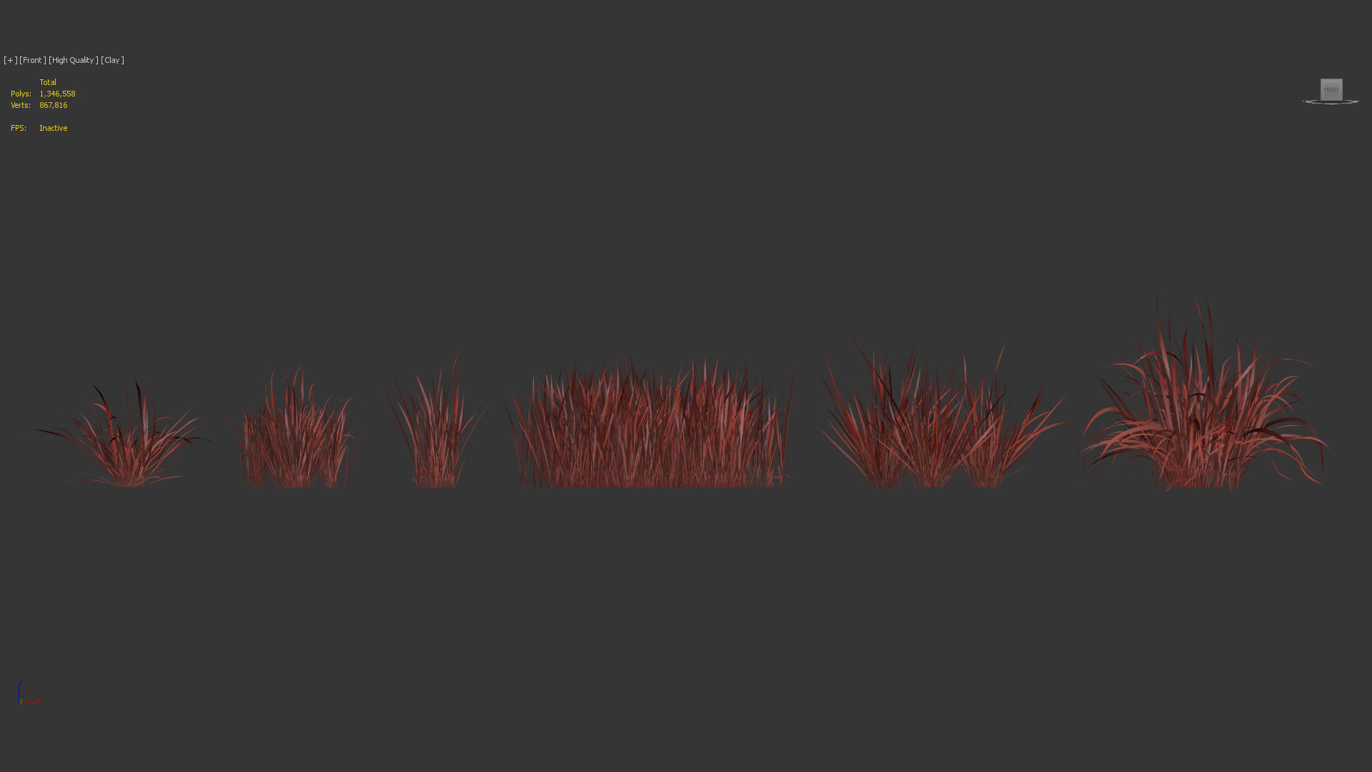Imperata cylindrical rubra Japanese Bloodgrass 3D model_9