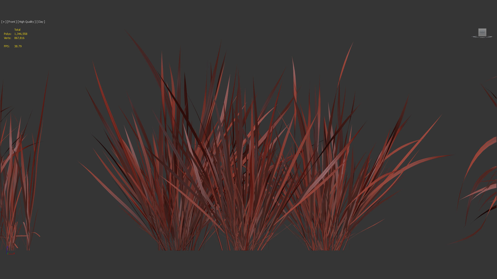 Imperata cylindrical rubra Japanese Bloodgrass 3D model_10