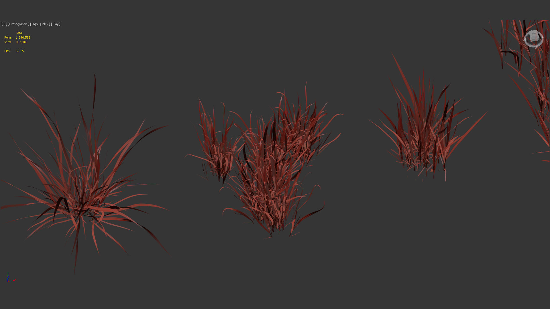 Imperata cylindrical rubra Japanese Bloodgrass 3D model_12