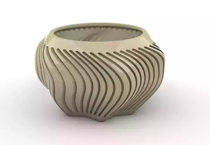 potted succulent and plants