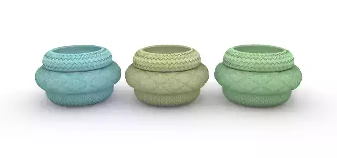 potted succulent and plants