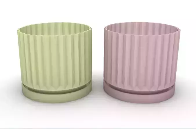 potted succulent and plants