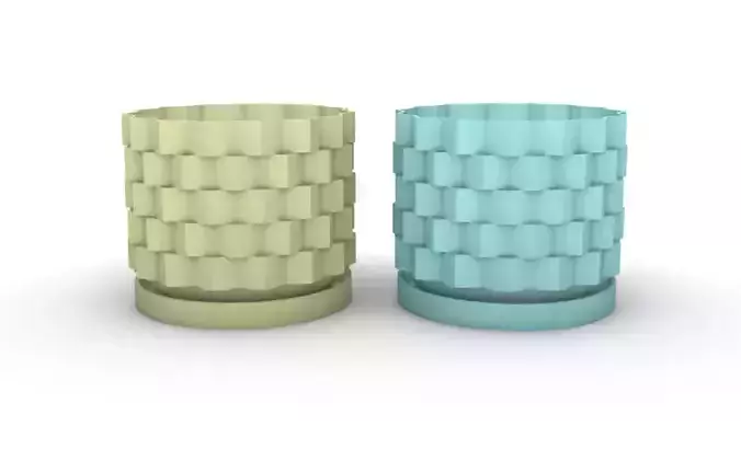 potted succulent and plants