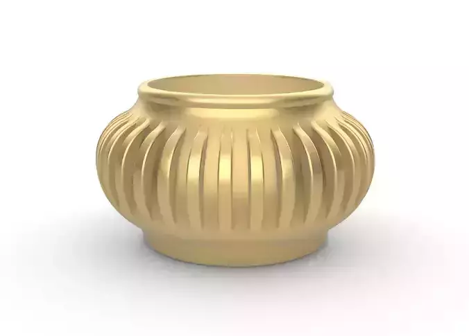 potted succulent and plants