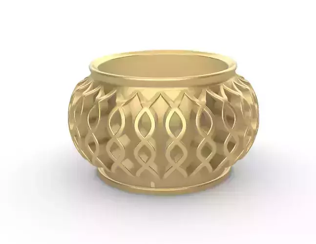 potted succulent and plants