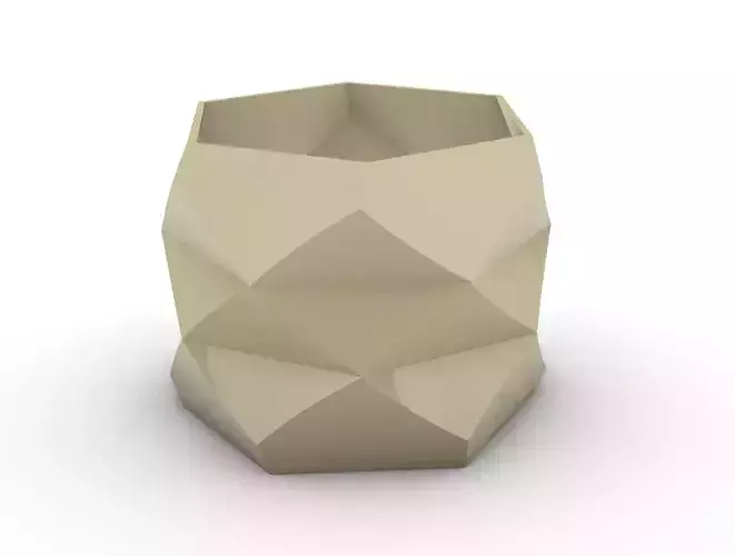 potted succulent and plants