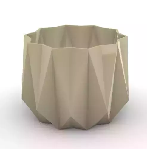 potted succulent and plants