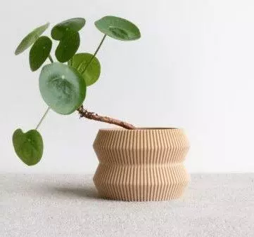 potted succulent and plants 3D print model_0