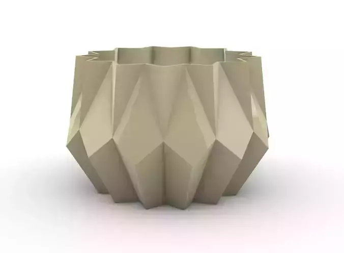 potted succulent and plants