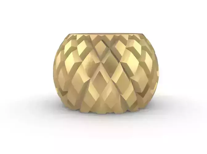 potted succulent and plants