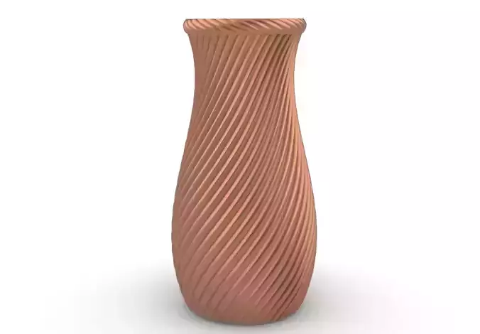 potted succulent and plants