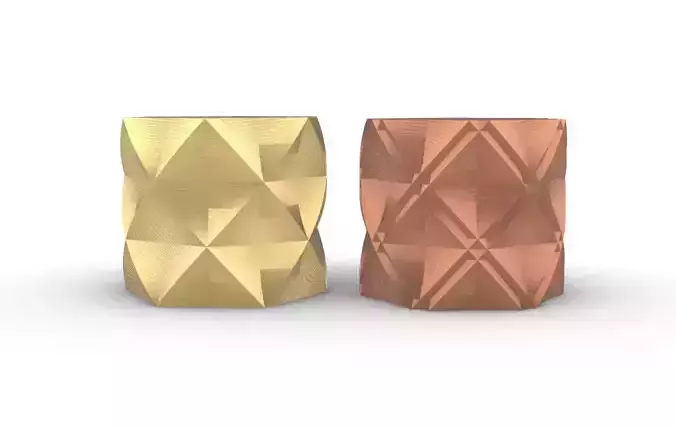 potted succulent and plants