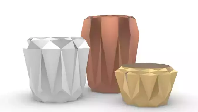 potted succulent and plants