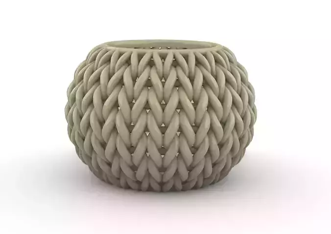 potted succulent and plants