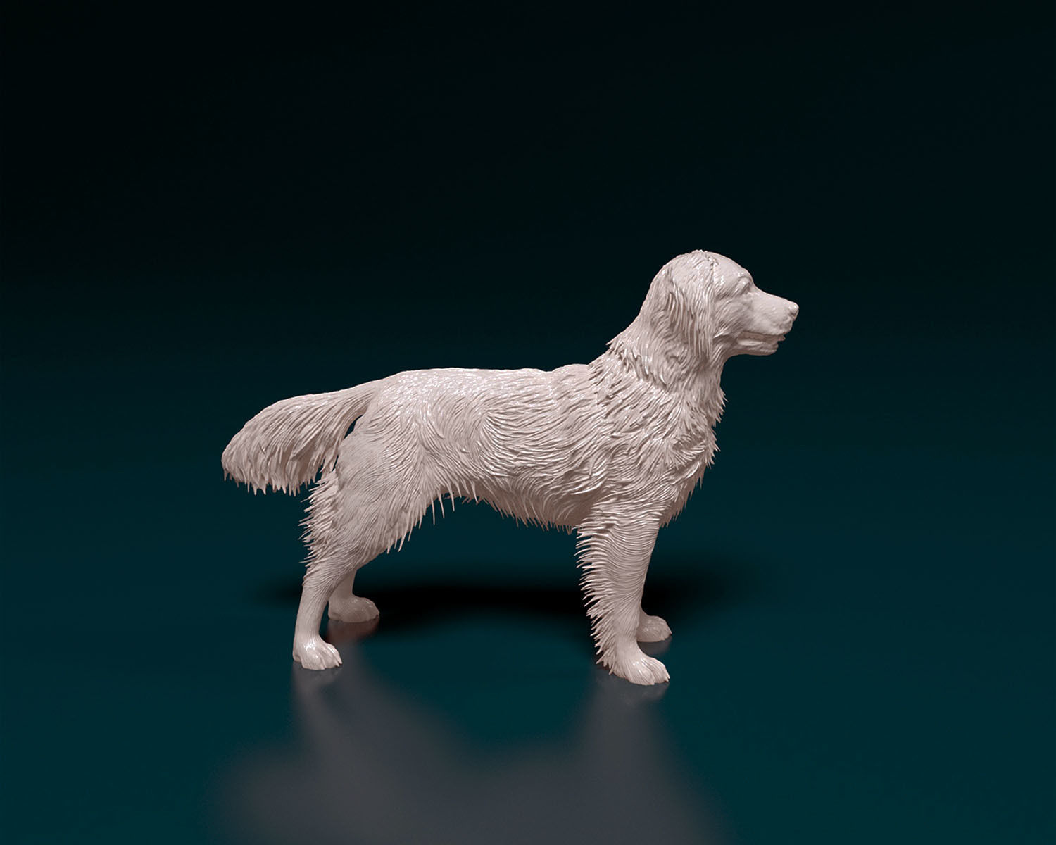 Kooikerhondje 3D print model_1