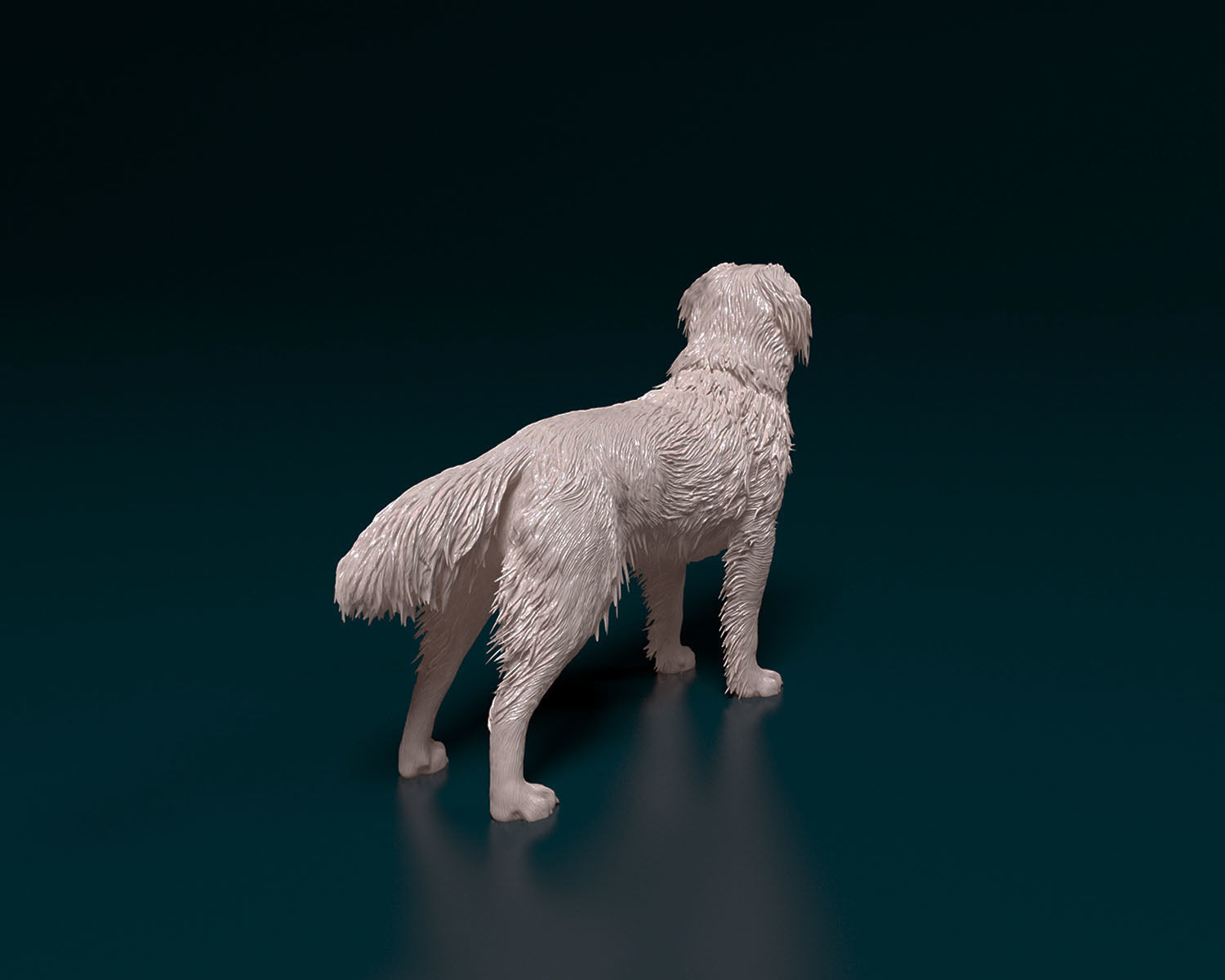 Kooikerhondje 3D print model_2