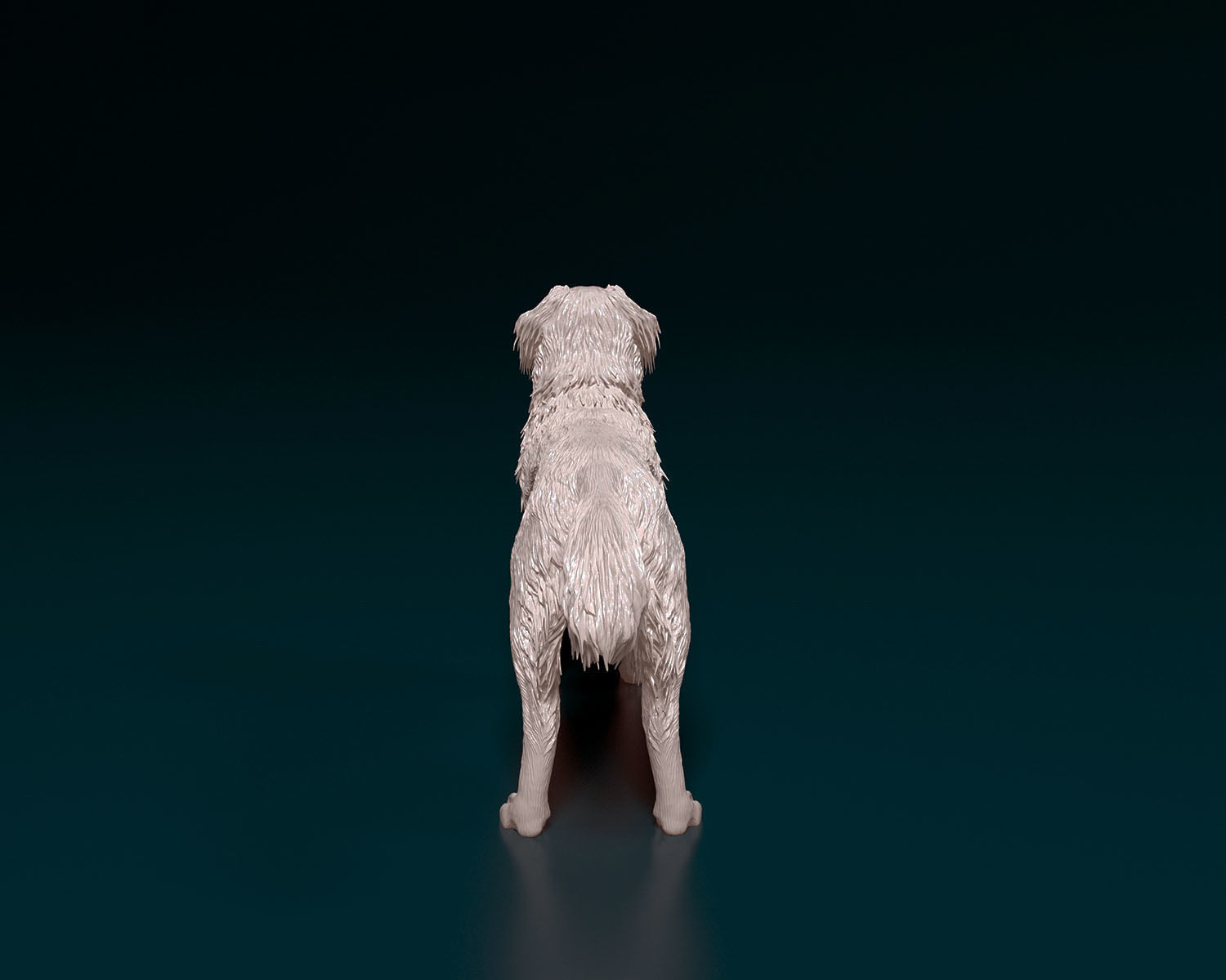 Kooikerhondje 3D print model_3