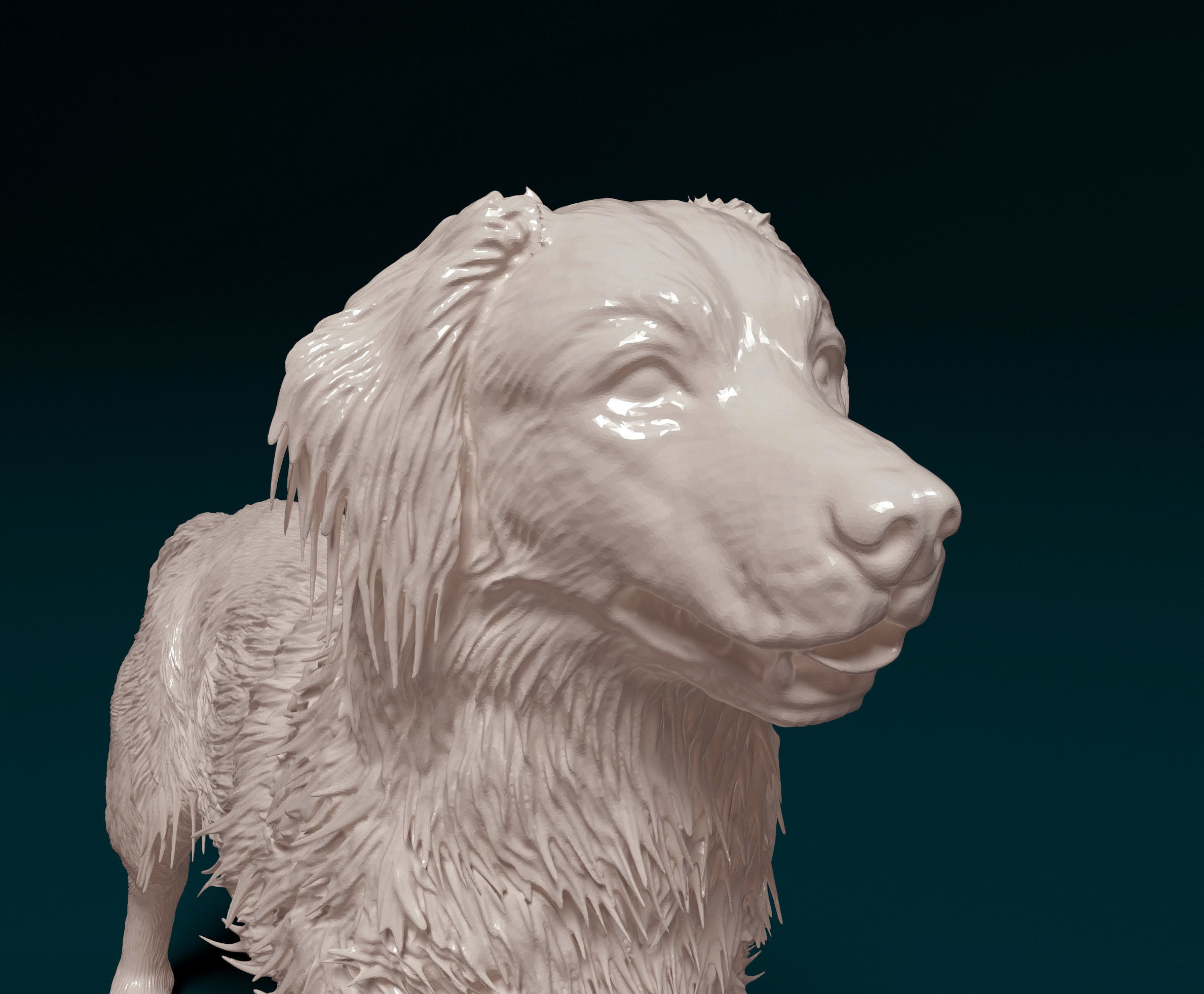 Kooikerhondje 3D print model_4