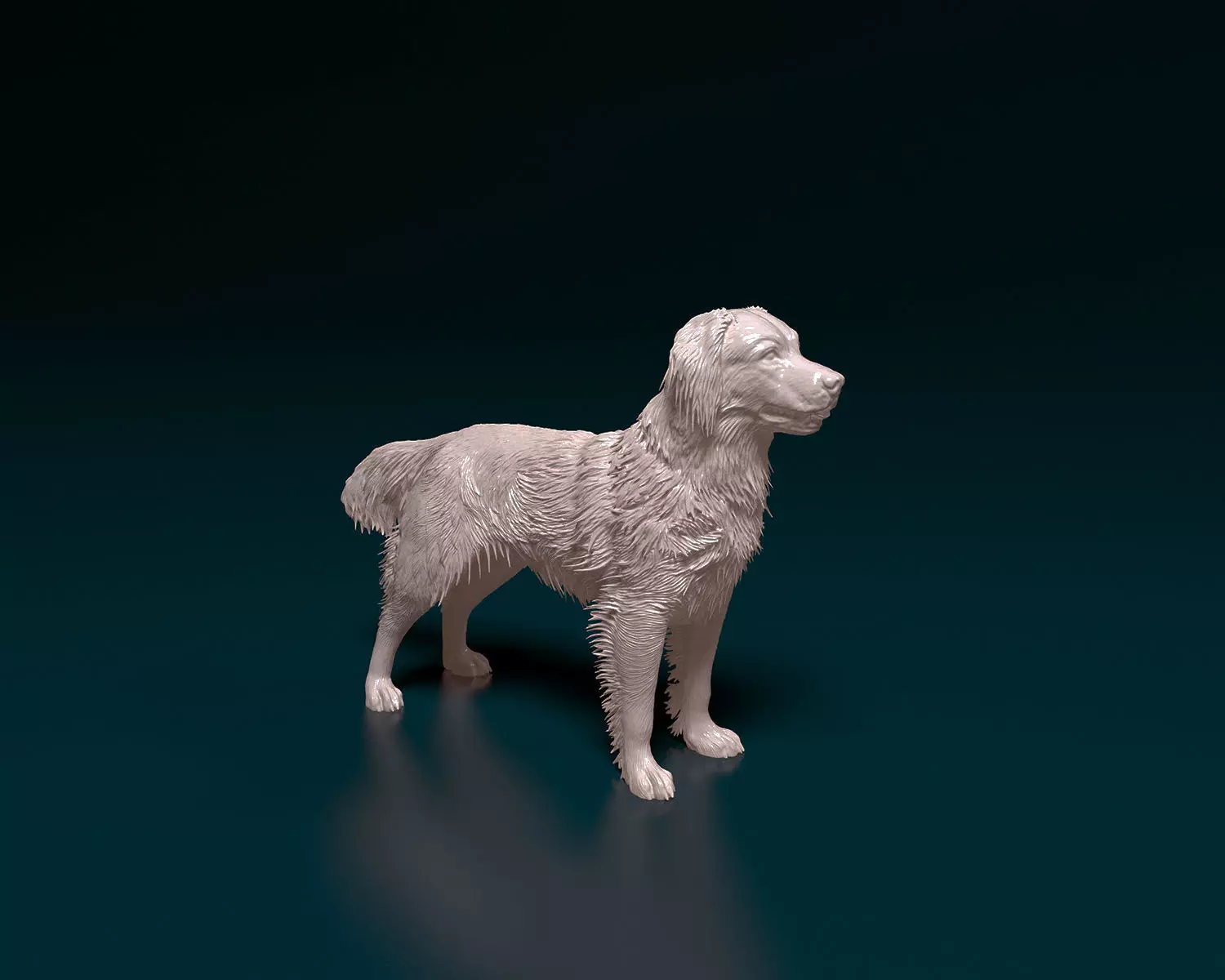 Kooikerhondje 3D print model_0