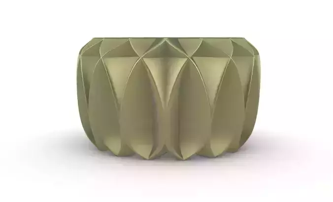 potted succulent and plants