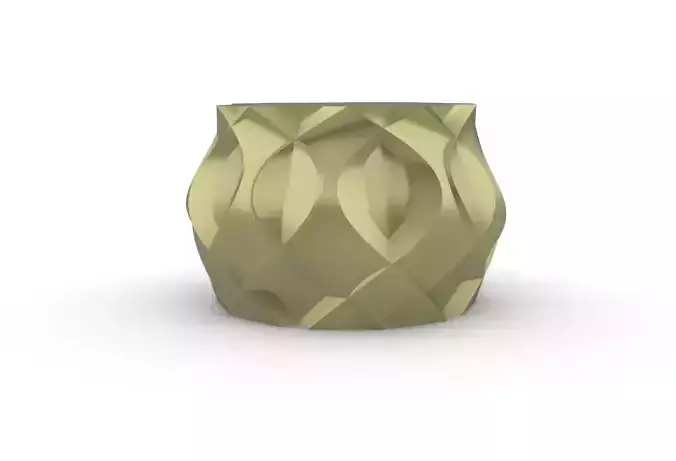 potted succulent and plants