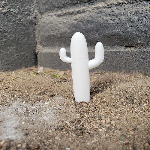 Sagauro Cactus for 3D Printing 3D print model