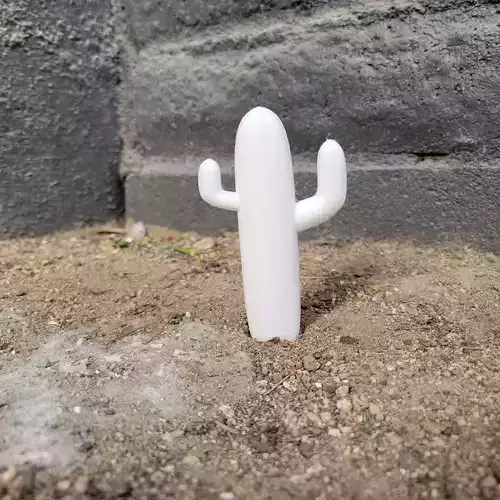 Sagauro Cactus for 3D Printing